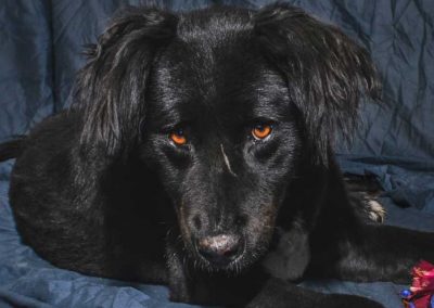 NIÑA – 7 años