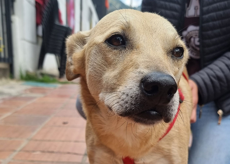 POCKER – 8 años