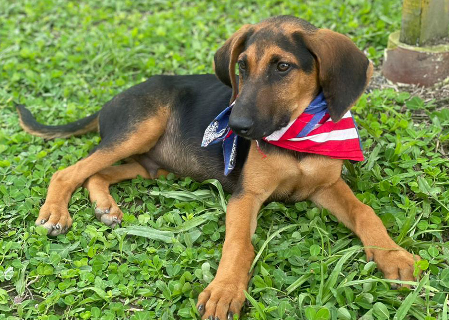 Chircan – 5 meses