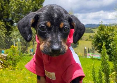 Morita – 3 meses